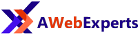 Custom web application development company in India